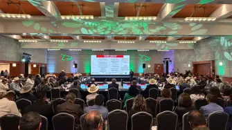 Foto: Gobierno de Tamaulipas