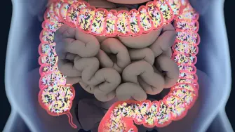 La microbiota se volvió una palabra común en etiquetas, suplementos y conversaciones sobre bienestar. Pero entre probióticos y fermentados, también crecieron ideas confusas sobre lo que realmente necesita el intestino.