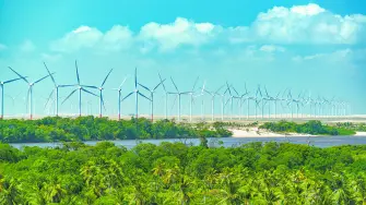 Wind farm and tropicBrasil busca atraer capital climático hacia industrias verdes, tecnología y economía circular