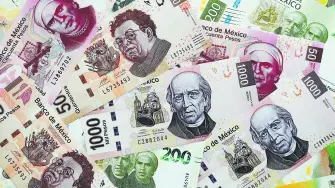 Texto alternativo automático
