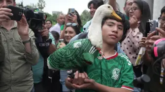 Merlín recibe a los periodistas entrada la tarde, toda la mañana estuvo ocupado en la mayor televisora de México. Su agenda no para y se extiende hasta la noche para apoyar el jueves en el 'Fan Fest' a la selección que tiene partido.

¡Síguenos en nuestras redes sociales para mantenerte informado!

Twitter: https://twitter.com/eleconomista 
Sitio web: https://www.eleconomista.com.mx/ 
Facebook: https://www.facebook.com/ElEconomista.mx 
Instagram: https://www.instagram.com/eleconomistamx

#ElEconomista #EETV #AFP