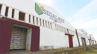 Texto alternativo automático