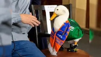Pato Merlín, "la mascota no oficial" del Mundial 2026, estuvo presente ese lunes en la conferencia matutina de la presidenta Claudia Sheinbaum.