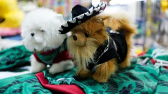 La versión oficial resulta cara para muchos mexicanos, lo que se suma a una sensación de malestar respecto al costo de este Mundial.