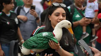 El director del IMPI señaló que la marca está vinculada a sus creadores, aunque el proceso legal aún no concluye.