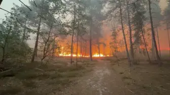 Quinientos bomberos y dos aviones Canadair luchaban el lunes contra las llamas en el emblemático bosque de Fontainebleau, a las puertas de París, para apagar un incendio de "magnitud excepcional" que según el gobierno francés podría ser intencionado.