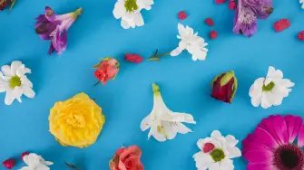 Flores comestibles