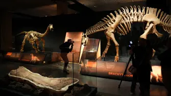Exposición 'Dinosaurios de la Patagonia', en Sevilla. 'Presentación de 'Dinosaurios de la Patagonia', una exposición desarrollada por el Museo Paleontológico Egidio Feruglio.María José López / Europa Press09/4/2026