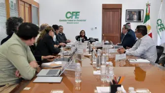 Foto: Comisión Federal de Electricidad