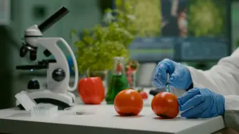 Alimentos y la industria