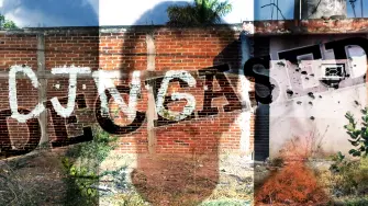 El hermano del fallecido líder del Cártel Jalisco Nueva Generación (CJNG), "El Mencho", se declaró culpable de narcotráfico y posesión de armas ante un juez estadounidense, informó este viernes el Departamento de Justicia.