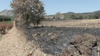 "¿Un vino con sabor a humo?" Los viticultores franceses de zonas arrasadas por los incendios viven la próxima vendimia de agosto con incertidumbre por miedo a no poder comercializar su cosecha de 2026.