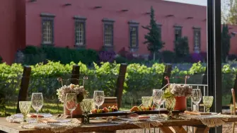 Chardonnay, Macabeo y Syrah crecen en Hacienda Galindo y dan origen a vinos que llevan el paisaje queretano hasta cada copa.
