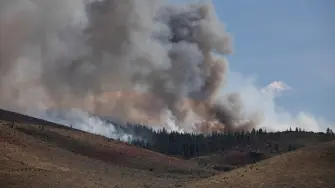 Las autoridades de Nevada, en el oeste de Estados Unidos, instaron el domingo a la población a evacuar sus hogares debido a un incendio forestal de rápida propagación que se acerca a la ciudad de Reno impulsado por el viento.