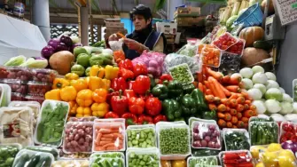 Cebolla, huevo y chile serrano subieron de precio en la primera quincena de agosto, mientras papa, jitomate, pollo, calabacita y aguacate bajaron.