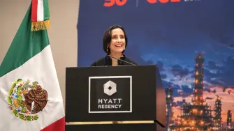 La secretaria de Energía, Luz Elena González.
