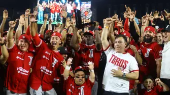 Toros de Tijuana.