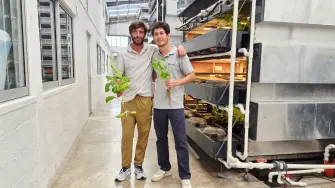 Ecolístico