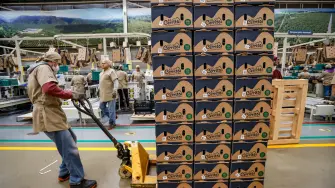 Sesión técnica de capacitación sobre el Certificado Laboral de Agroexportación (CLA), y la plataforma VELAGRO del gobierno federal.