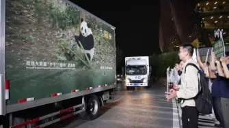Dos osos panda gigantes enviados por China a Estados Unidos llegaron a su destino el domingo, tras una cumbre entre los presidentes Donald Trump y Xi Jinping cargada de simbolismo pero con pocos avances concretos.