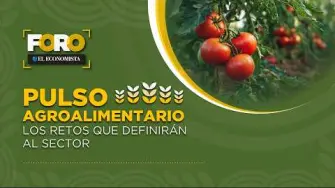 Conoce los retos que definirán el futuro del sector agroalimentario en esta edición de Pulso agroalimentario. Sigue la conversación y comparte tu opinión