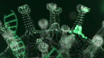 Detalle de un coronavirus. La incidencia de la covid está experimentando un repunte estos días en España.