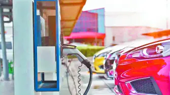 Texto alternativo automático