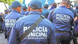 Texto alternativo automático