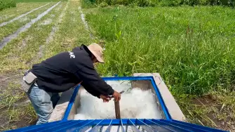 Abastecimiento de agua en el campo.