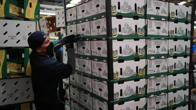 El empleo en el sector agropecuario impulsó la generación de plazas en junio. Foto: Cuartoscuro