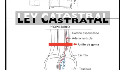 El Economista