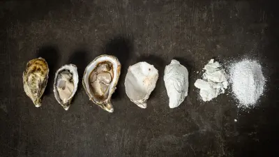 Bendito Mar Seafarm -  Cal para nixtamalizar