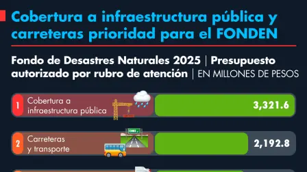 Presupuesto autorizado por rubro de atención.