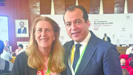 Texto alternativo automático