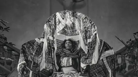 "Guerreros de espíritu libre” del libro Birds of Mexico City, de Pieter Henket.