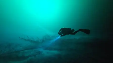 Inmersión en el cenote Yaakun Gustavo García.