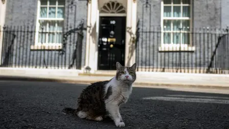 Larry, el gato de Downing Street.