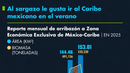 Al sargazo le gusta ir al Caribe mexicano en el verano. Reporte mensual de arribazón a Zona Económica Exclusiva de México-Caribe.