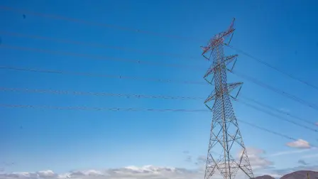 Foto: Comisión Federal de Electricidad (CFE).