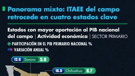 Cuatro estados tuvieron una caída en su Indicador Trimestral de la Actividad Económica Estatal por el aumento en los costos de producción, incertidumbre comercial por el T-MEC y la fortaleza del peso, entre otras causas.