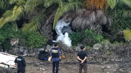 Agentes de policía inspeccionan el lugar donde se halló el cuerpo de la persona desaparecida Jang Mi-ran en una plantación de palmeras en la isla de Jeju, Corea del Sur.