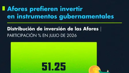 Las Afores que destinaron su inversión a instrumentos gubernamentales tuvieron un ligero aumento en julio de 2026, en comparación con el mismo mes del año anterior.