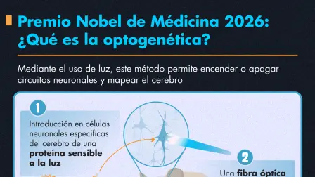 Premio Nobel de Médicina 2026: ¿Qué es la optogenética?