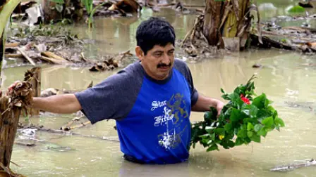 El Economista