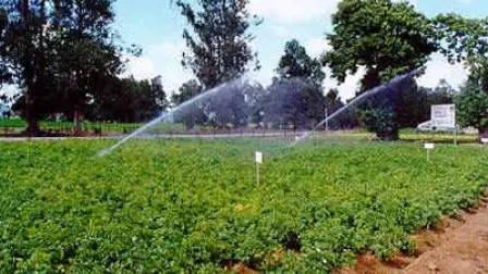 El Economista