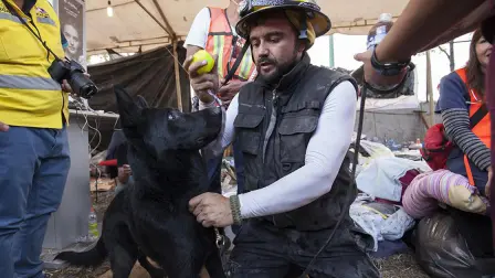 Daniel García, del grupo USAR de los Altos de Jalisco entrega a Santo una pelota para jugar después de haber realizado un marcaje en el multifamiliar de Tlalpan.