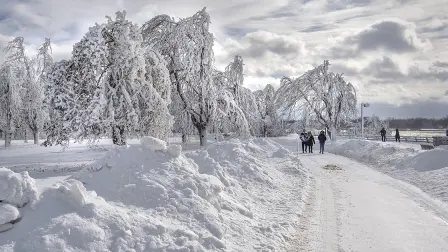 Visitors walk at a frozen Niagara Falls in views from Stedman