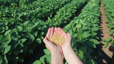 La compañía planea iniciar la venta en Brasil de la nueva tecnología en el 2020.