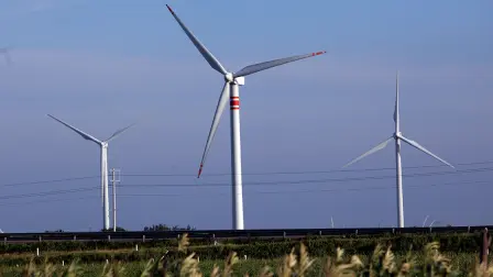 Oaxaca cuenta con 24 parques en operación con una capacidad instalada de 21,390 megawatts y más de 1,451 aerogeneradores de diferentes capacidades. EE: Archivo.