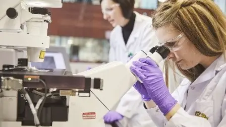 Equal-Salary certificó a Philip Morris México en equidad salarial - Foto: Cortesía 